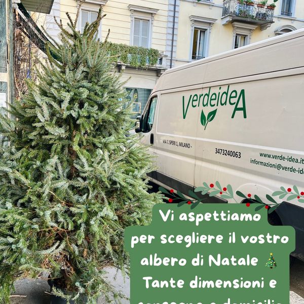 Composizione floreale di Verde Idea, foto 2